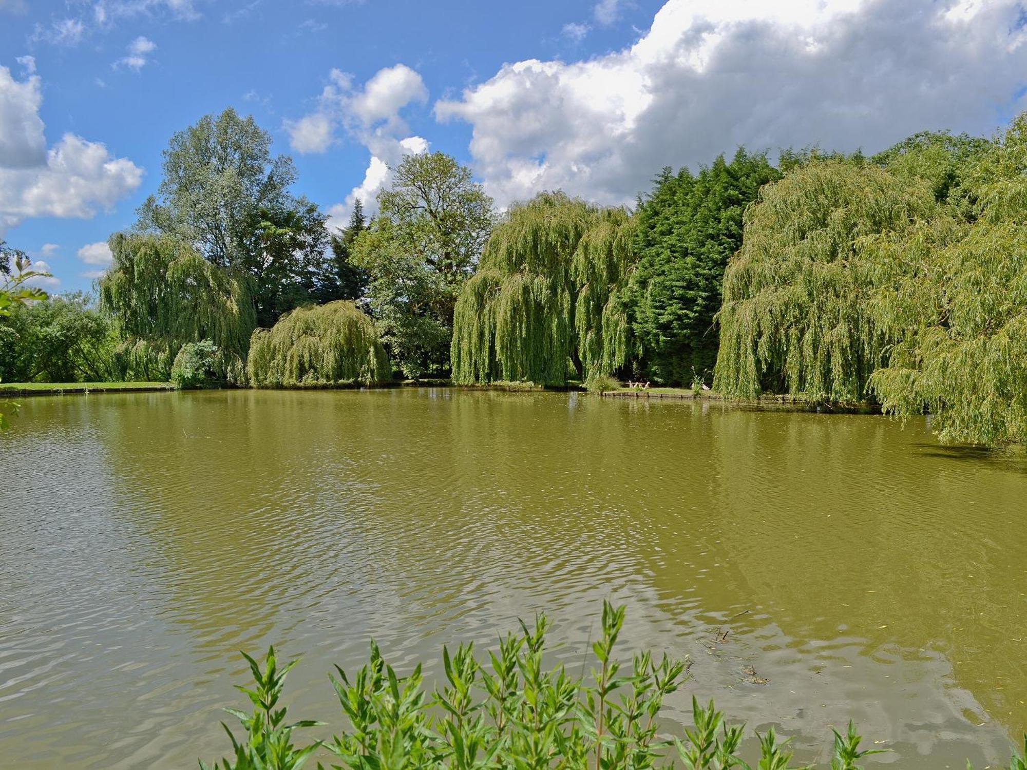 Lake House Cottage Finchingfield المظهر الخارجي الصورة