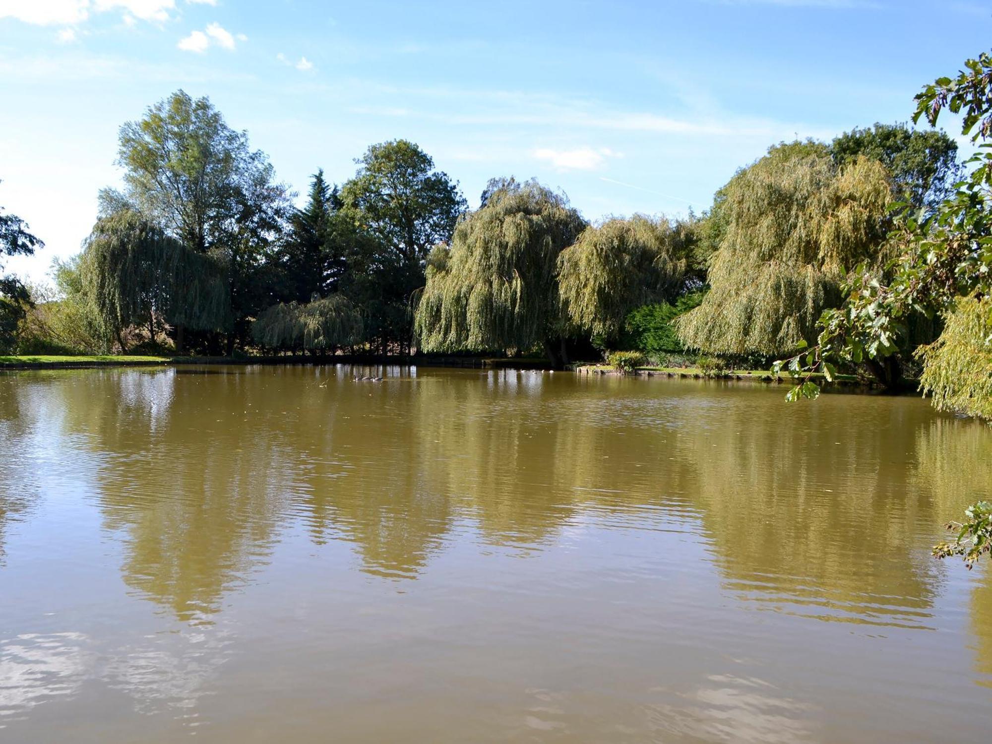 Lake House Cottage Finchingfield المظهر الخارجي الصورة